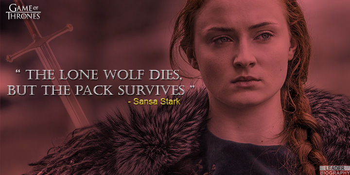 Sansa Stark - GOT